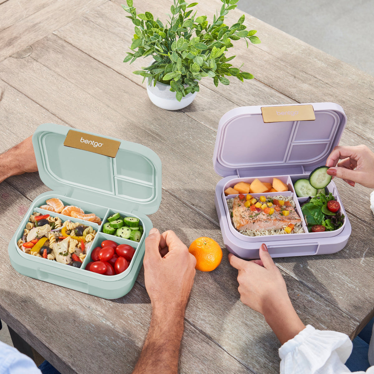 bentgo-modern-lunch-box-2-pack-t8 COSTCOBMCPRODUCTIMAGE_2.jpg